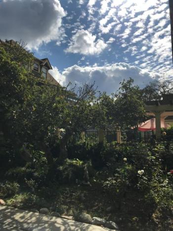 The Bissell House Bed & Breakfast